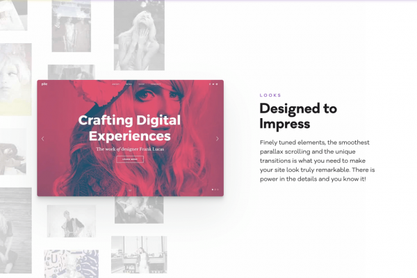 PILE - A WordPress Portfolio Theme