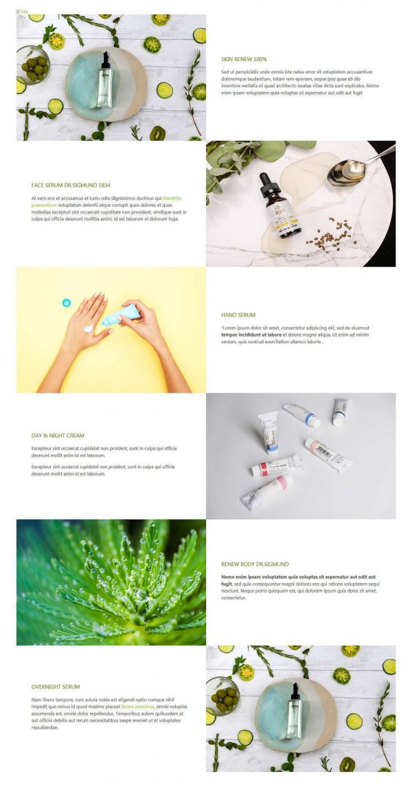 Dr. Sigmund - Wordpress Theme